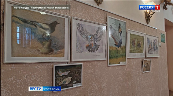 Юные костромские художники представили выставку «Встречай с любовью стаи птичьи...»