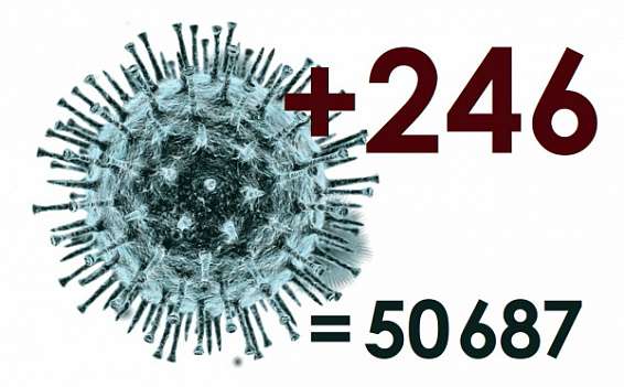 За сутки коронавирус в Костромской области выявлен у 246 человек