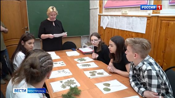 Кадры на комбинат «Свеза» в Костроме готовят со школьной скамьи