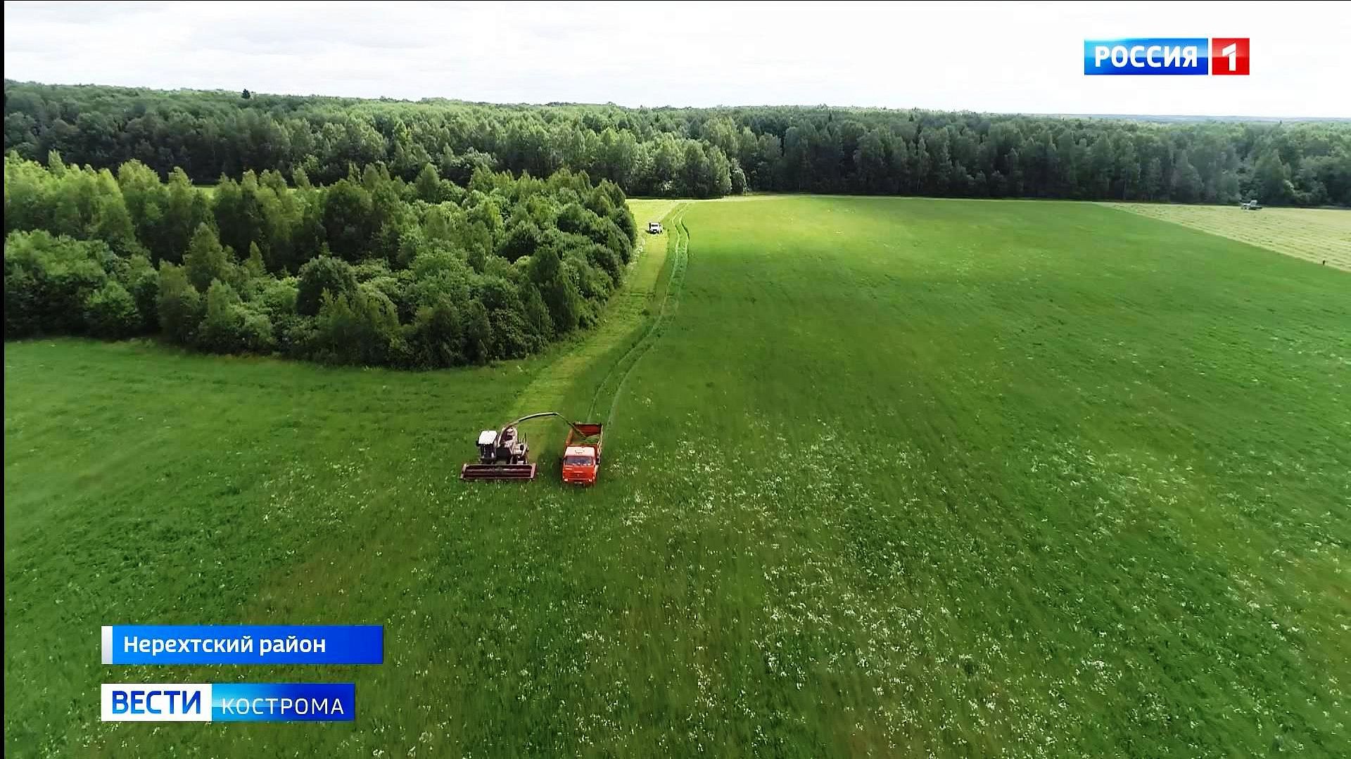 Хозяйства Костромской области начали заготовку кормов