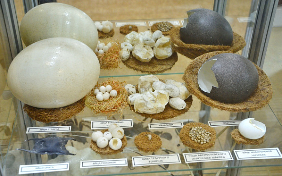 В канун Пасхи в Костроме открыли выставку яиц