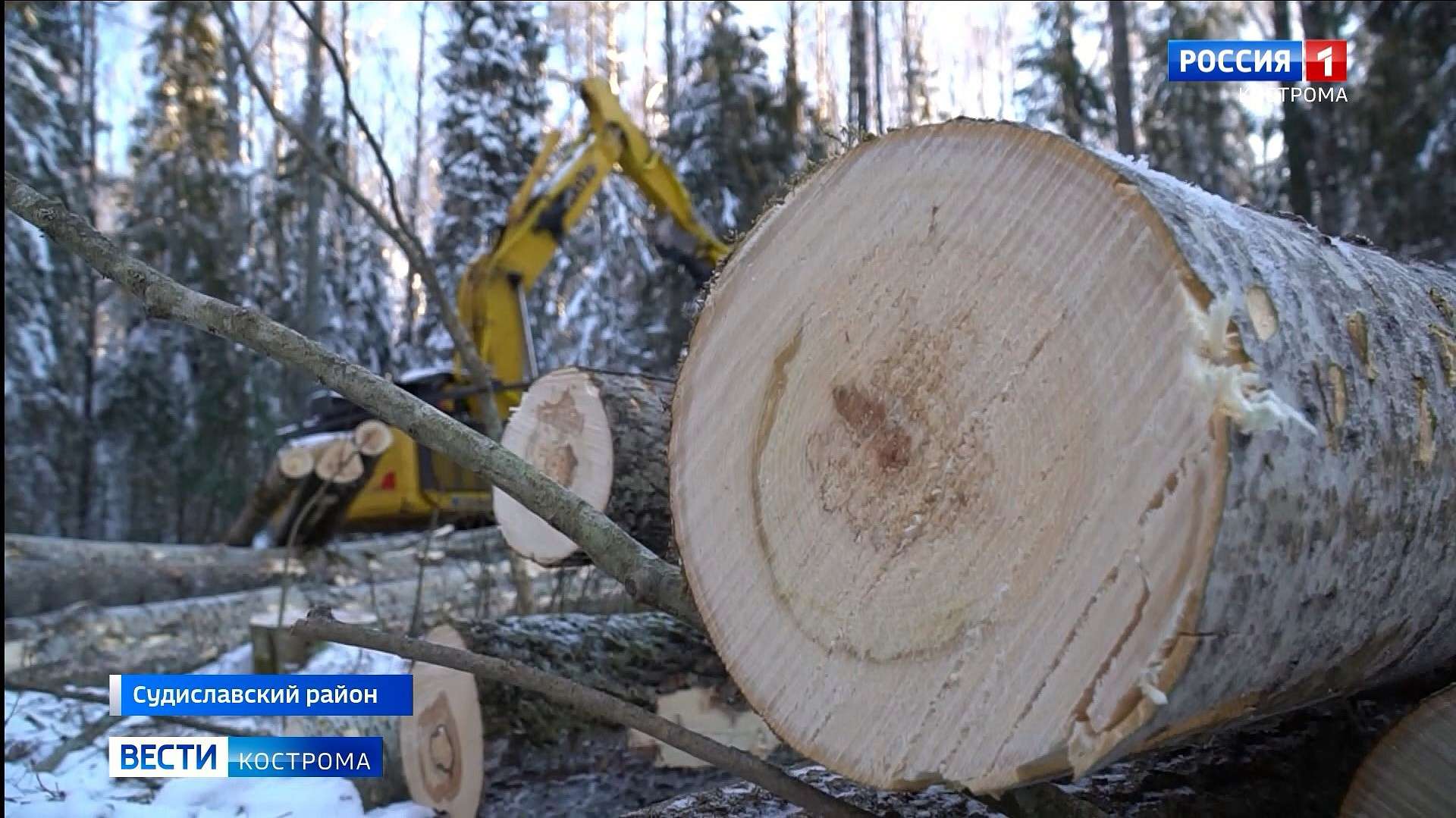 В Костромской области стартовала зимняя заготовка леса