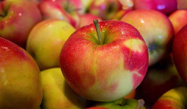Костромичей приглашают в музей померяться яблоками 