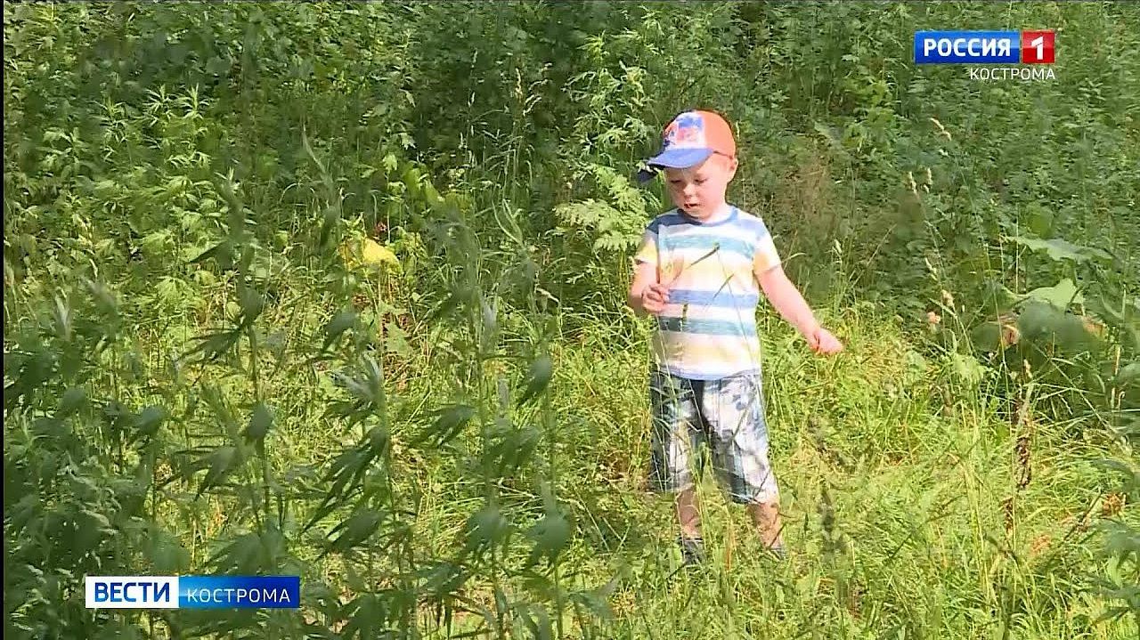 Жители поселка Северного в Костроме хотят детскую площадку