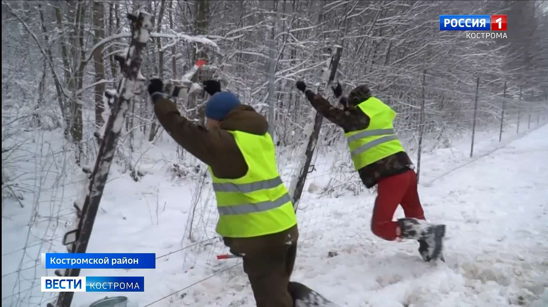 На трассе Кострома-Иваново начали устанавливать забор от лосей