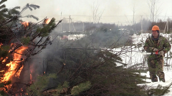 Экстренные службы Костромской области на практике готовятся к пожароопасному сезону