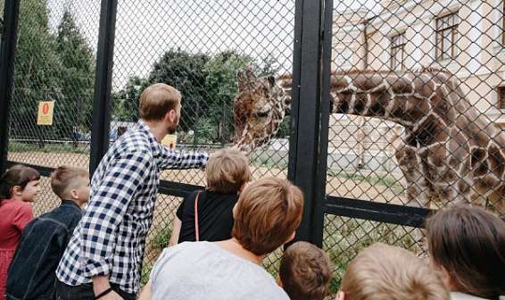 Костромские школьники могут выиграть поездку в Московский зоопарк
