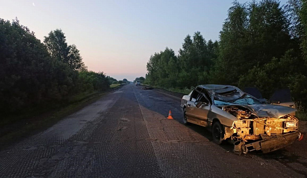Водитель погиб при столкновении машины с лосем на дороге под Костромой