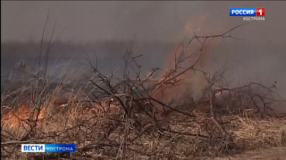 Неподалеку от Костромы обнаружено три возгорания сухой травы