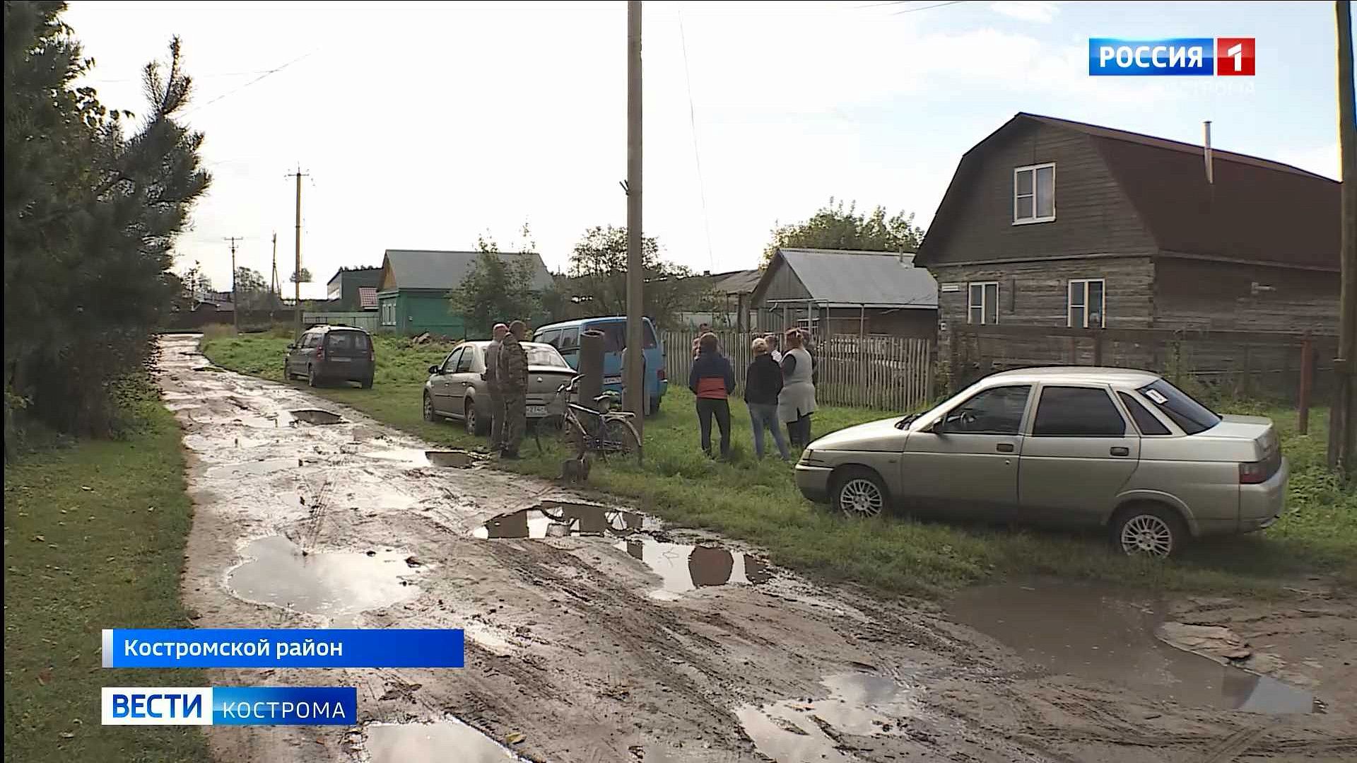 Жители костромского села Яковлевское объявили войну наглым лисам