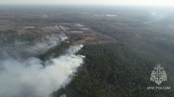 В Костромской области продолжается тушение большого лесного пожара