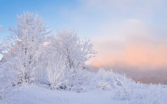 В Костромской области ожидаются морозы до «минус тридцати семи»